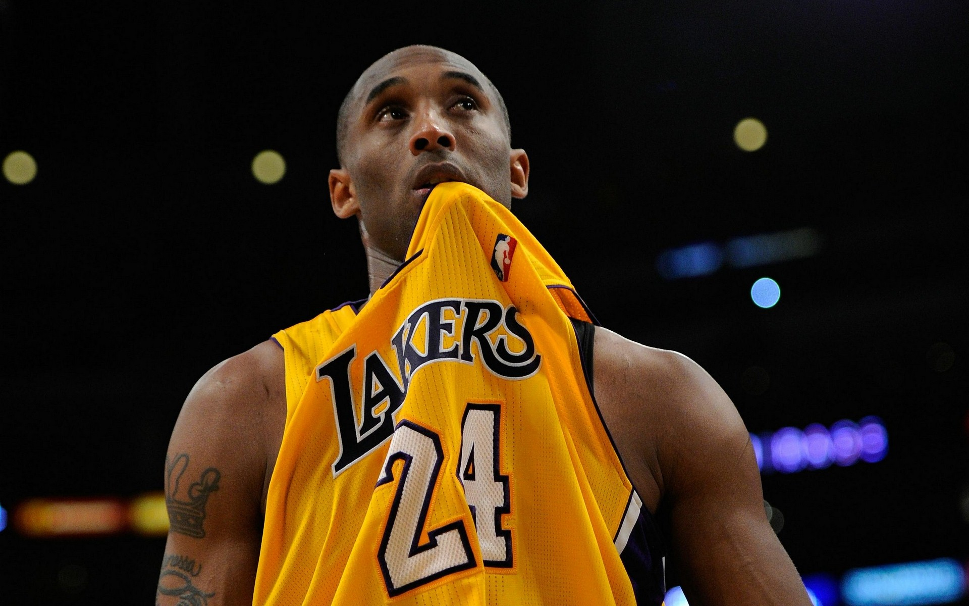 同时也积累 同时也积累